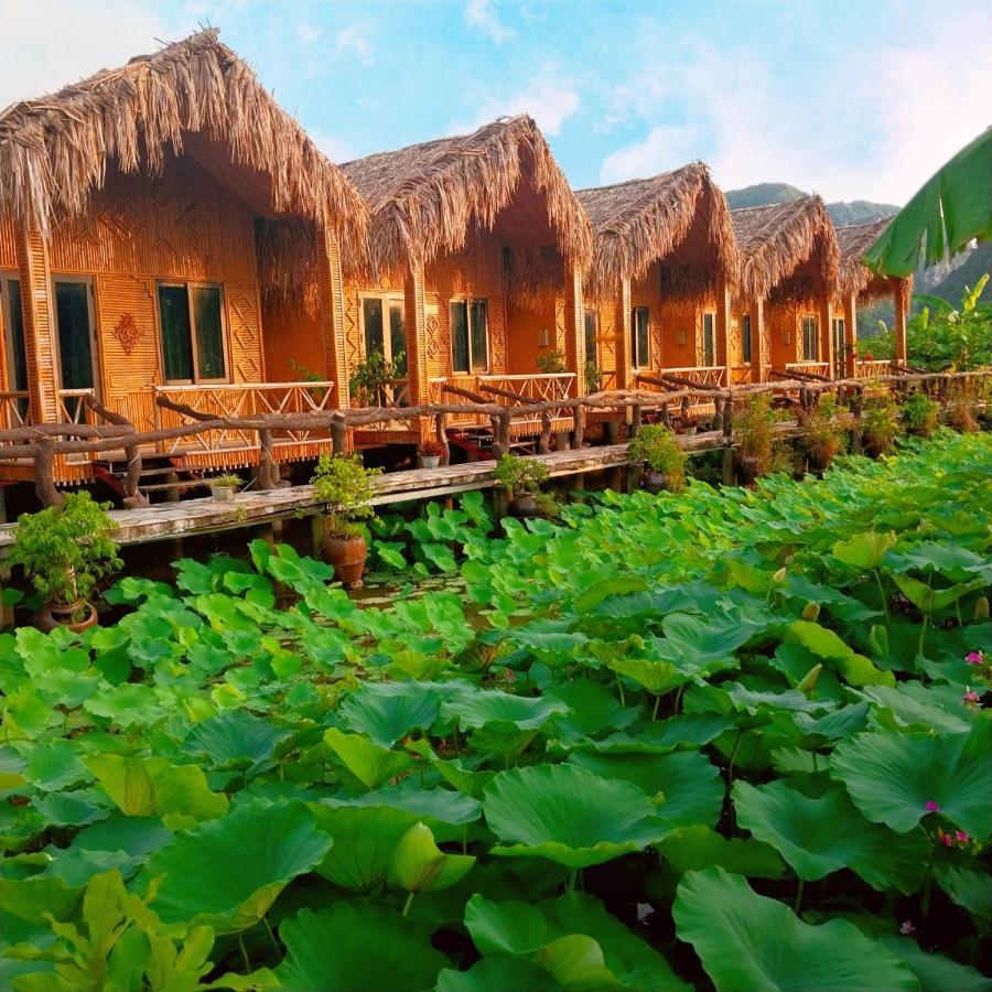 Hang Mua Lotus Homestay 닌빈 외부 사진
