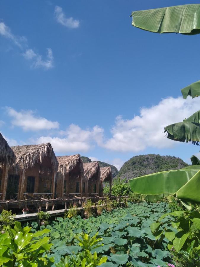 Hang Mua Lotus Homestay 닌빈 외부 사진